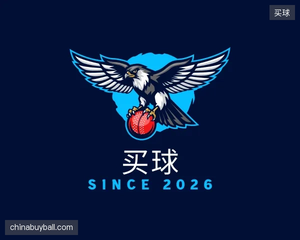 初识买球官网